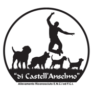 IL MONDO DI CASTELL’ANSELMO